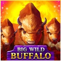 game logo by Belatra Games on 5betcasino.ca